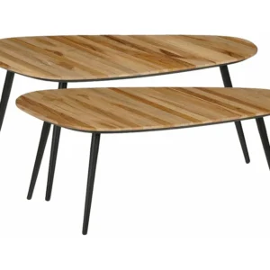 Bijzettafel set van 60% gerecycled hout en 20% mdf en 20% metaal - 84 x 39 x 39 / 84 x 39 x 34.5 - Bruin - JAILEY