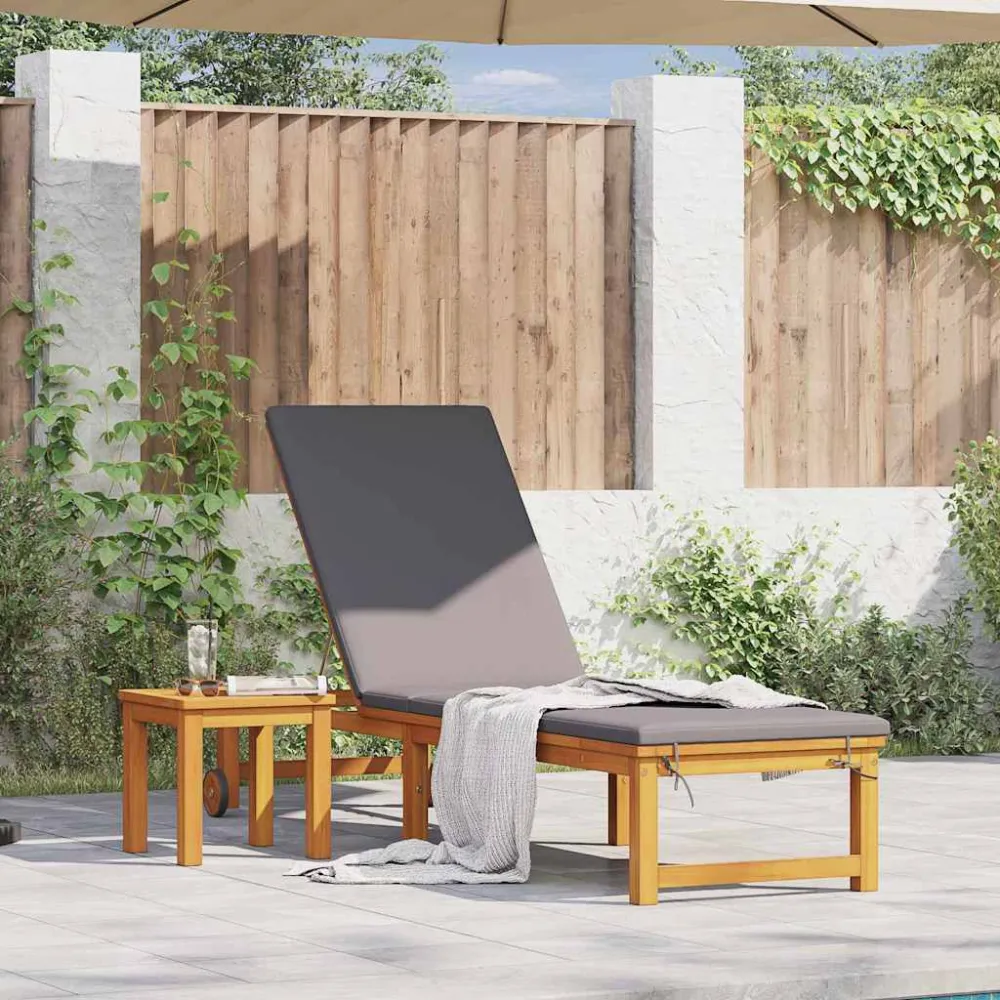 Ligstoel Bruin 202 x 53 x 89 cm Massief Acaciahout vidaXL