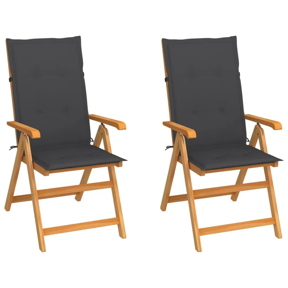 Tuinstoelen 2 st met antracietkleurige kussens massief teakhout vidaXL