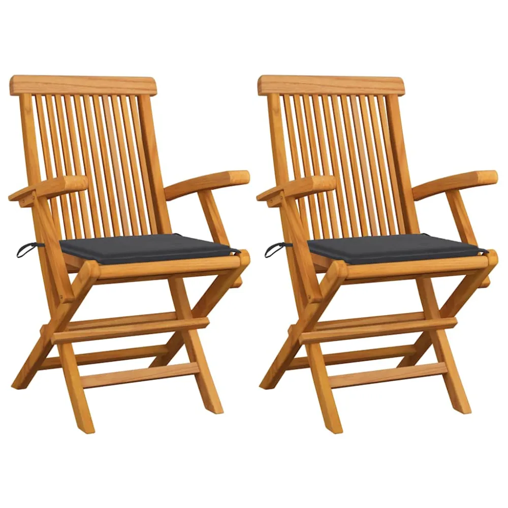 Tuinstoelen 2 st met antracietkleurige kussens massief teakhout vidaXL