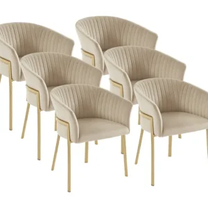 Set van 6 stoelen met armleuningen van velours en goudkleurig metaal - Beige - ZAOVA PASCAL MORABITO