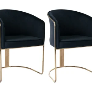 Set van 2 stoelen met fluweel en metalen armleuningen - Zwart en goud - JOSETHE PASCAL MORABITO