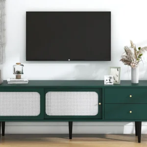TV-meubel van 120 cm - 2 schuifdeuren en 2 lades - MDF groen fineer en zwart metaal Merax
