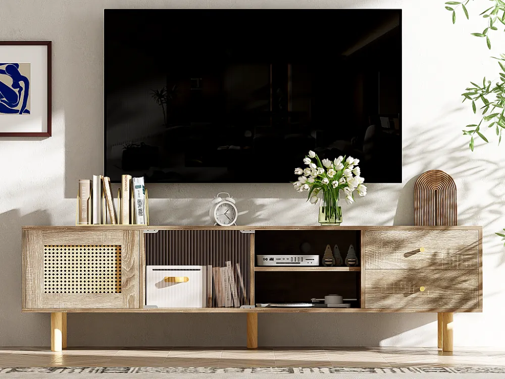 TV-meubel deeltjesringen - 1 deur & 2 laden & 3 vakken - Naturel ModernLuxe