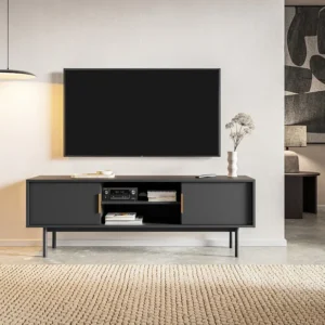 Tv-meubel met 2 deurtjes en 2 nissen - Zwart - DABRIANA