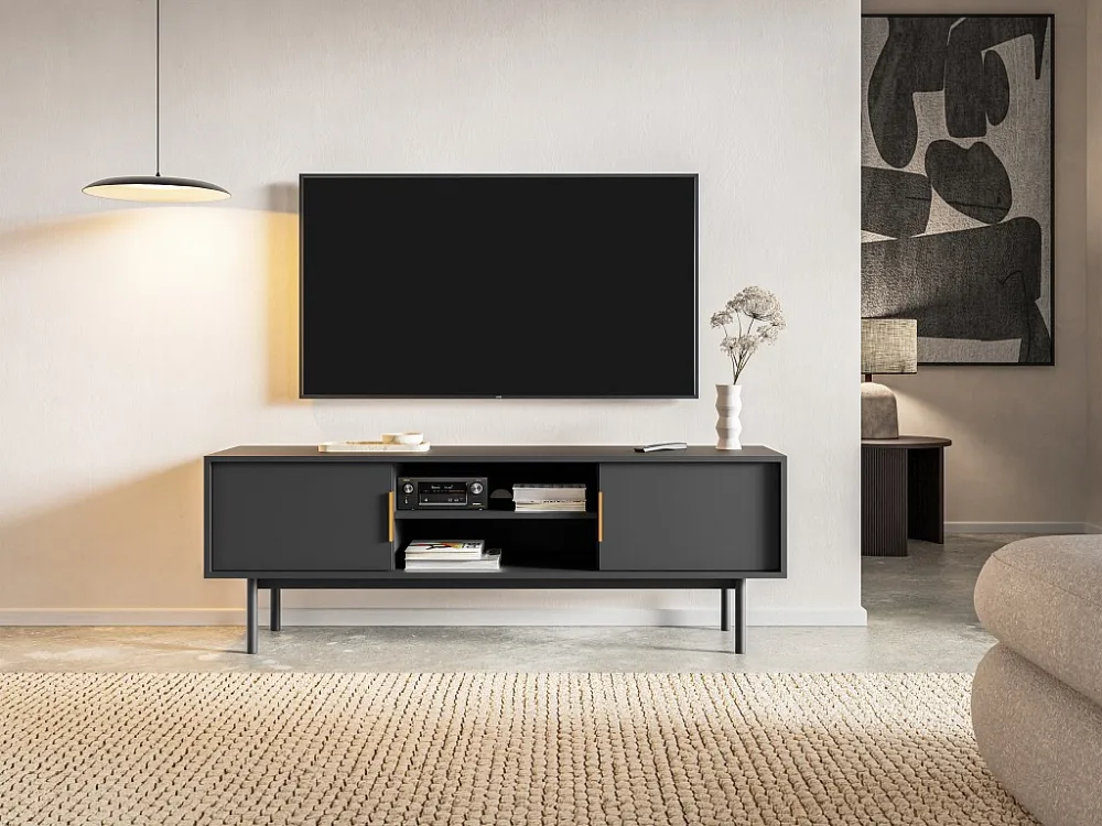 Tv-meubel met 2 deurtjes en 2 nissen - Zwart - DABRIANA