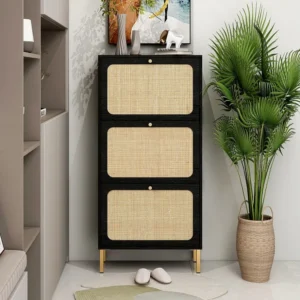 Meuble à chaussures avec 3 Porte en rotin métallique fabriqués avec des fers à repasser et MDF 60x23.5x104.5cm Noir