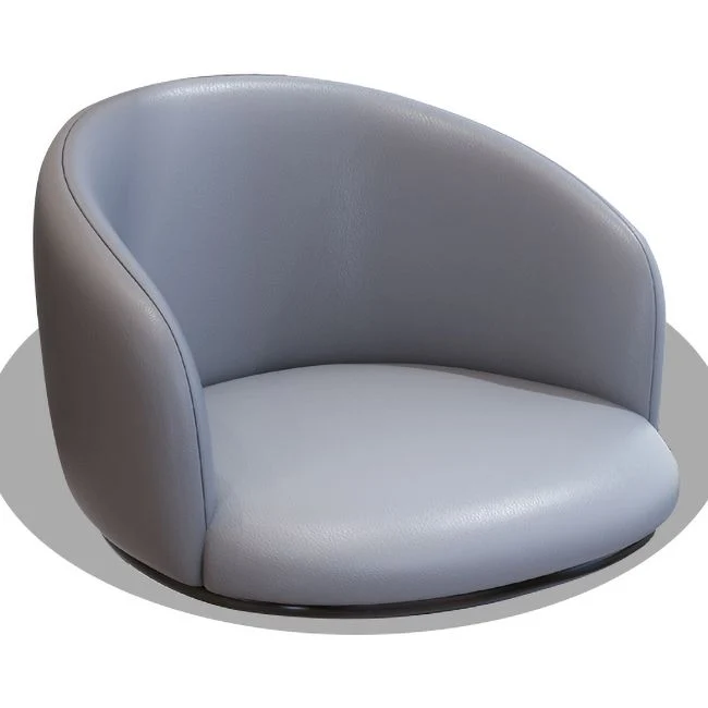 Moderne lederen fauteuil de slaapkamer, matte afwerking, eetkamerstoel met stevige rugleuning Clearhalo