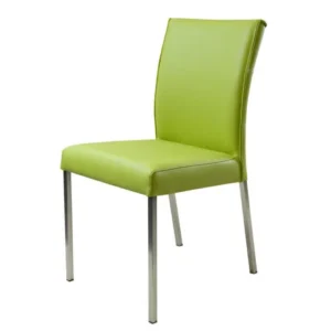 CSW Bernstein met RVS-frame