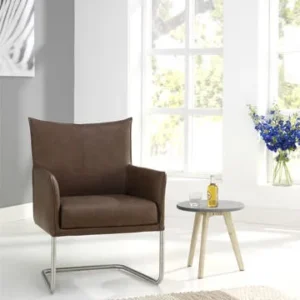 CSW SWING loungefauteuil RVS slede frame