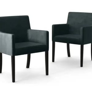 Set van 2 eetkamerstoelen Escape velvet Interior Overstock M