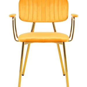 Set van 2 eetkamerstoelen Giselle velvet Kayoom