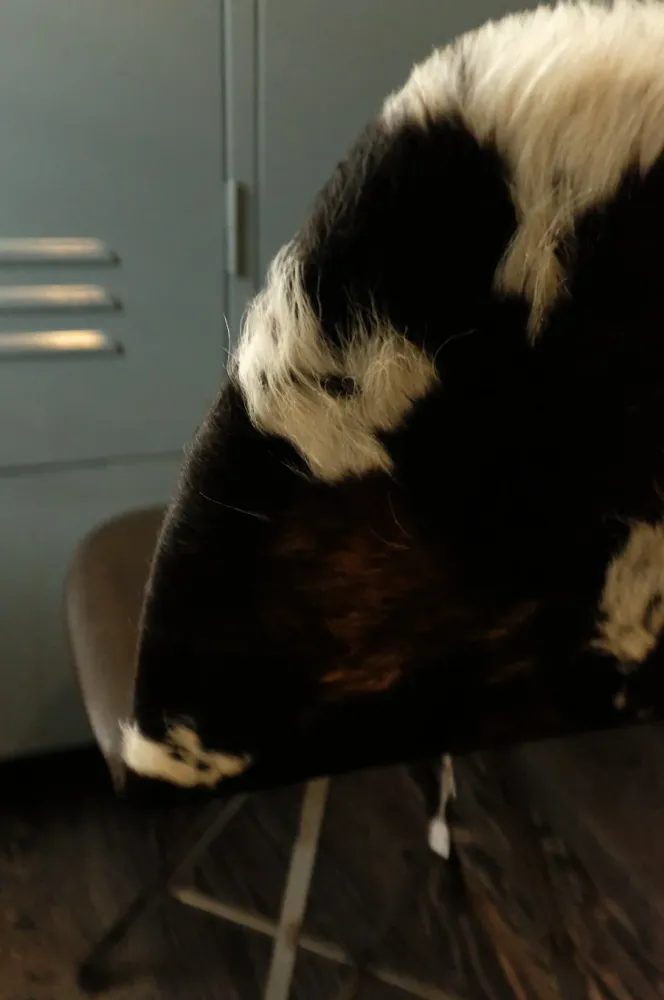Spoinq stoel Square Cow