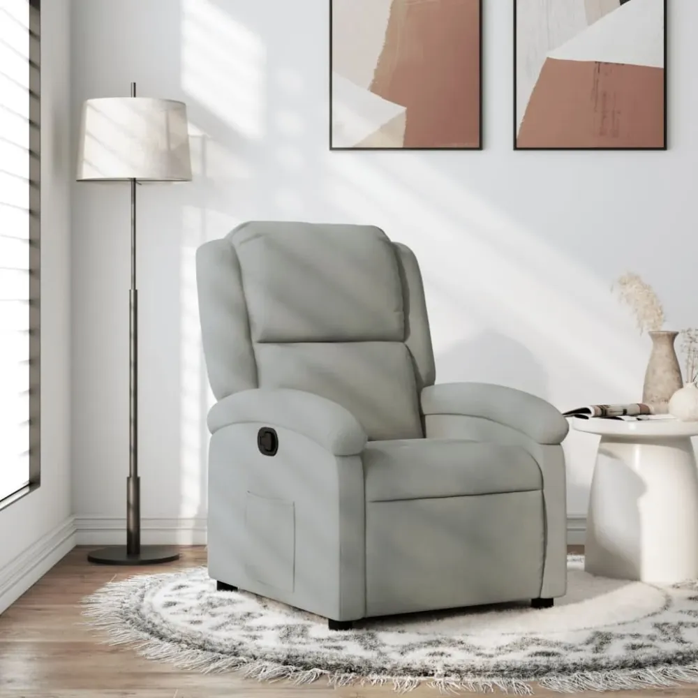 Relaxfauteuil Lichtgrijs Fluweel vidaXL