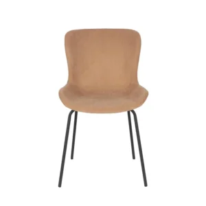 Set van 2 eetkamerstoelen Birde Zuiver BV