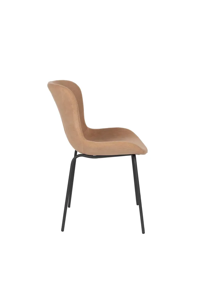 Set van 2 eetkamerstoelen Birde Zuiver BV