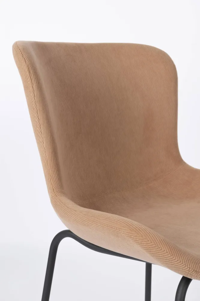 Set van 2 eetkamerstoelen Birde Zuiver BV
