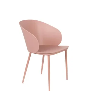 Set van 2 eetkamerstoelen Francine Zuiver BV