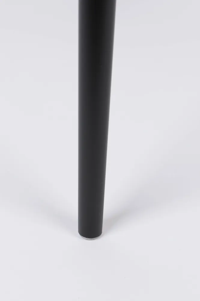 Set van 2 eetkamerstoelen Ria Zuiver BV