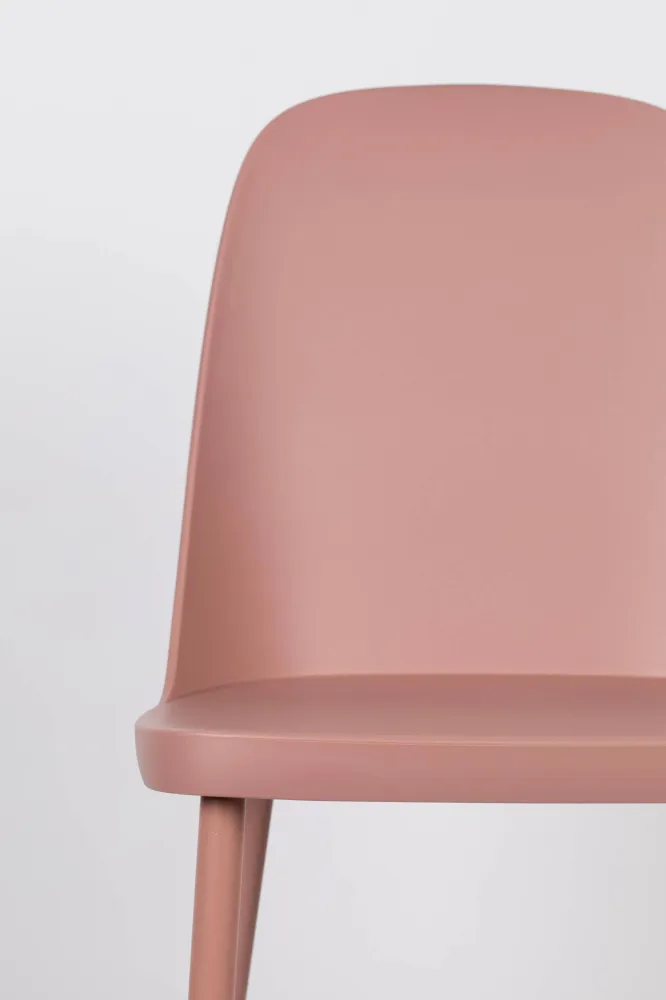 Set van 2 eetkamerstoelen Ria Zuiver BV