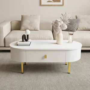 Salontafel met 2 laden - 108 x 50 x 40 cm - gouden handgrepen en poten - MDF hout - wit Merax