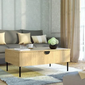 Salontafel met 1 deurtje - Naturel en zwart - NATANIEL