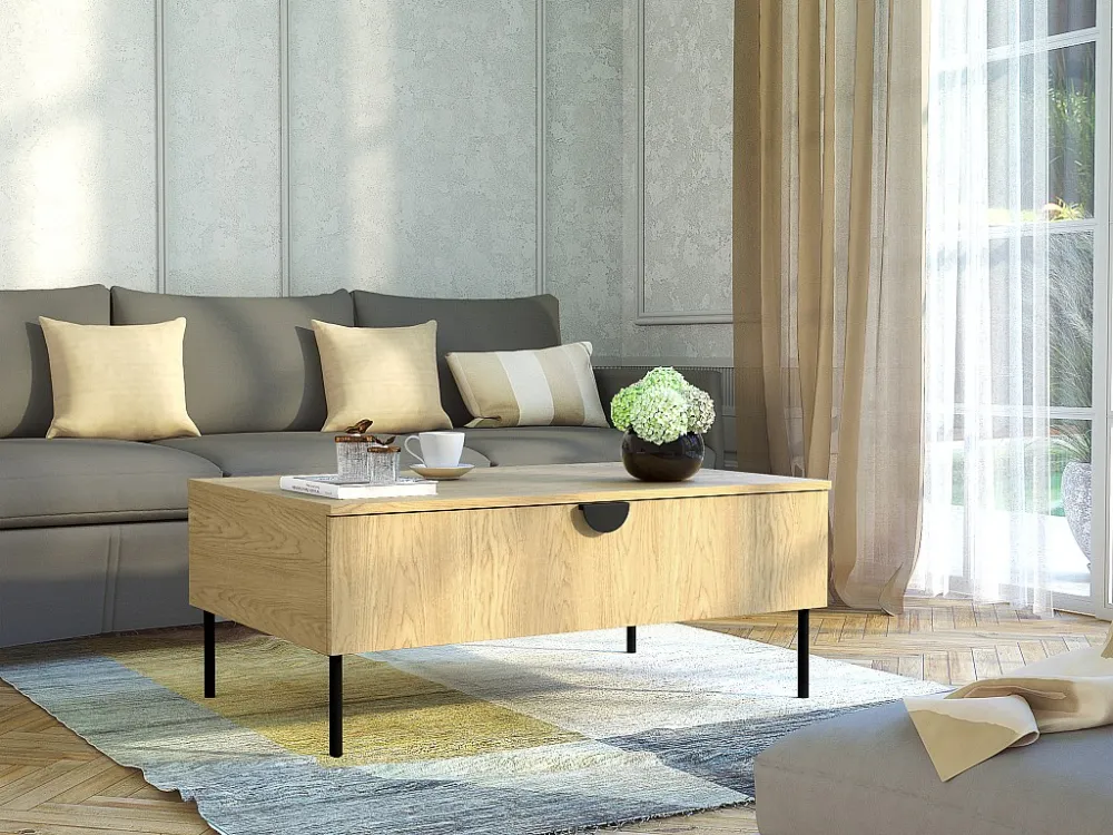 Salontafel met 1 deurtje - Naturel en zwart - NATANIEL