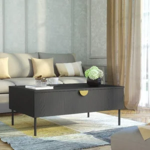 Salontafel met 1 deurtje - Zwart en goudkleurig - NATANIEL