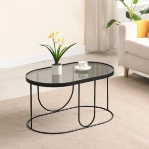 Salontafel van metaal en gerookt glas - Zwart en transparant - PRETORIA