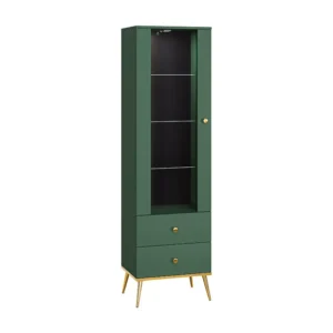 Vitrinekast FORT SC55 1D2D 55x40x190 Groen
