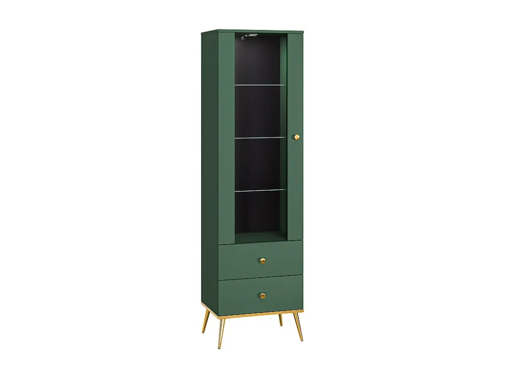 Vitrinekast FORT SC55 1D2D 55x40x190 Groen