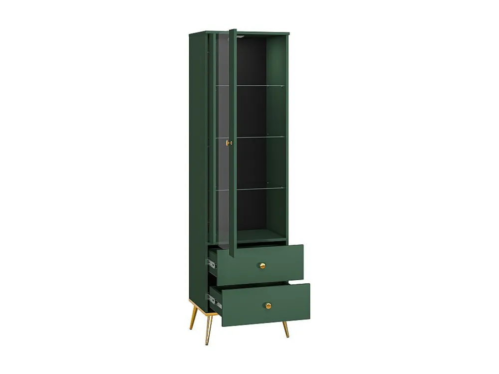 Vitrinekast FORT SC55 1D2D 55x40x190 Groen