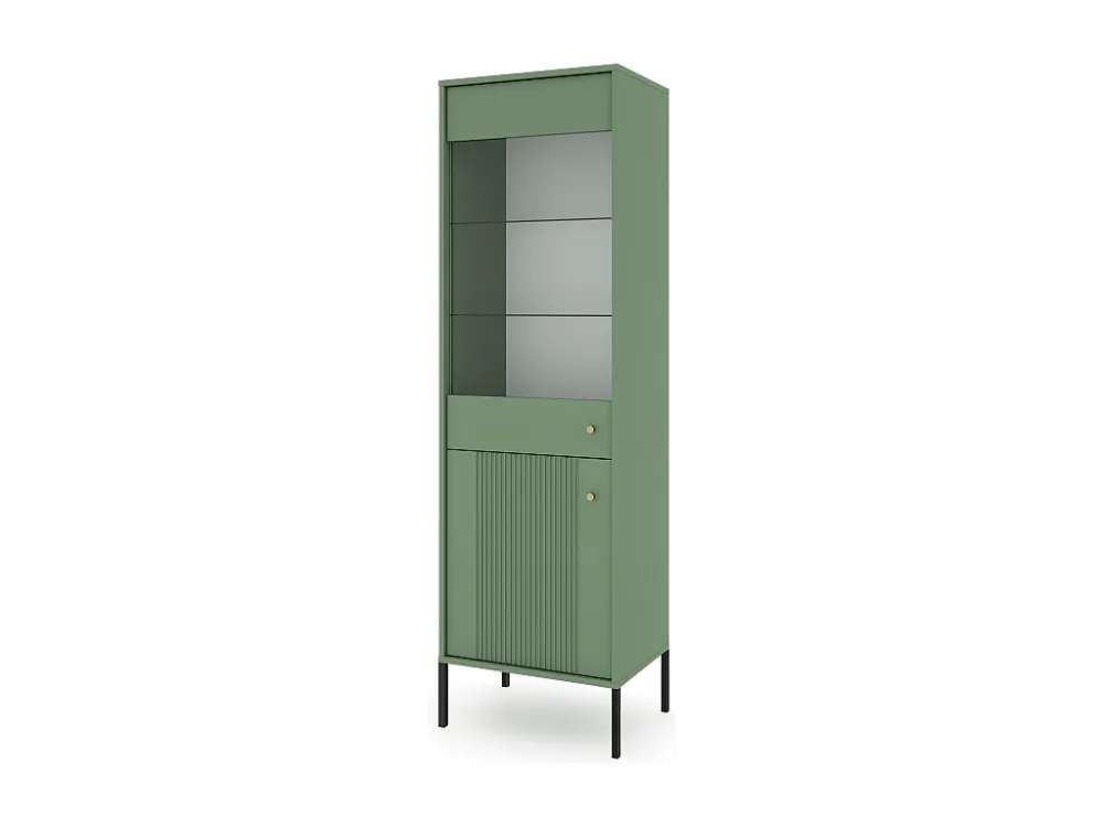 Vitrinekast ISEO SC54 2D 54x39x180 Groen
