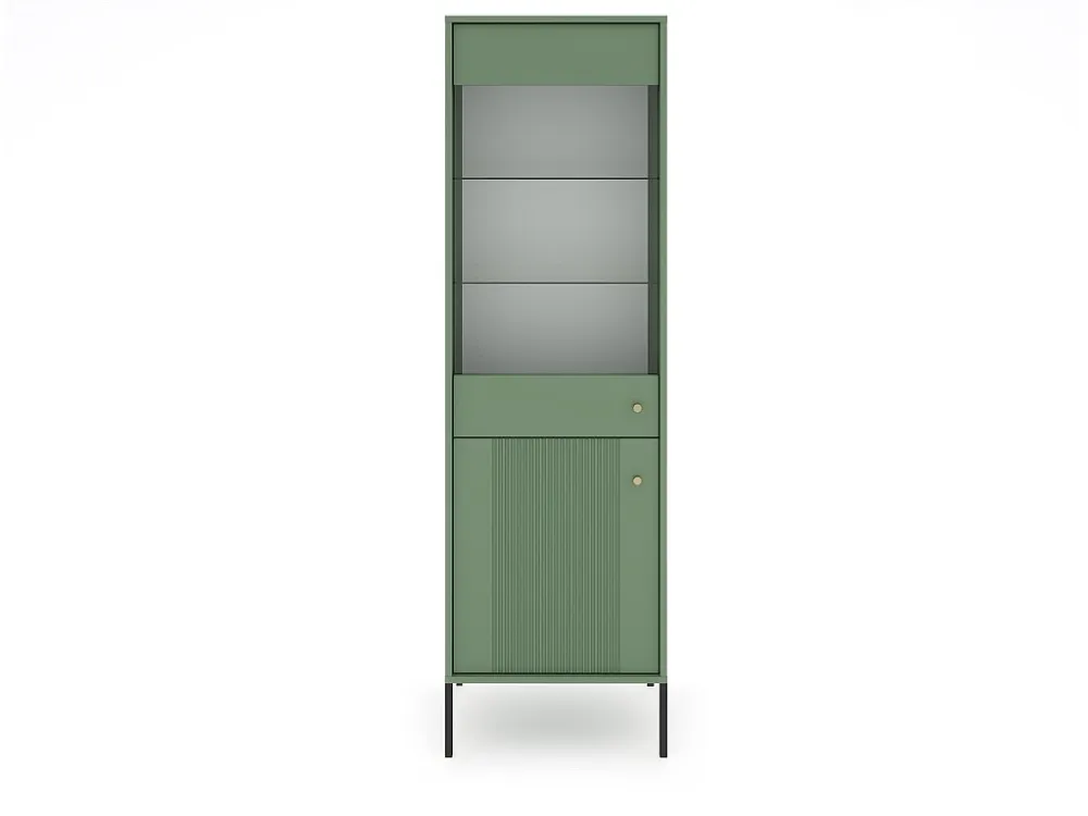 Vitrinekast ISEO SC54 2D 54x39x180 Groen