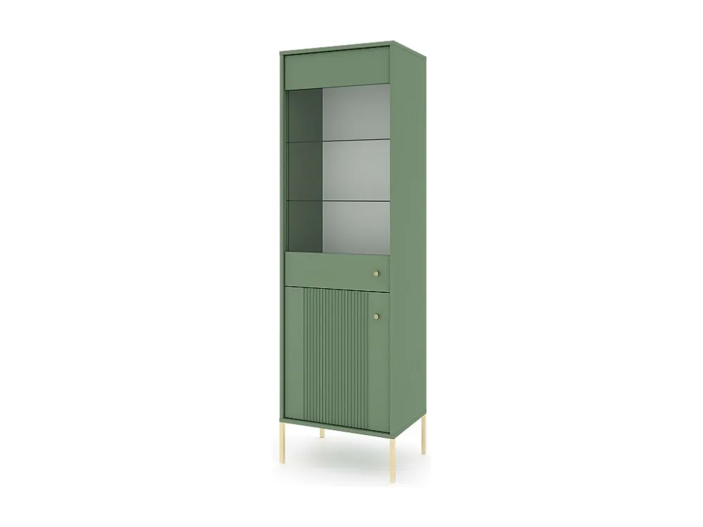 Vitrinekast ISEO SC54 2D 54x39x180 Groen