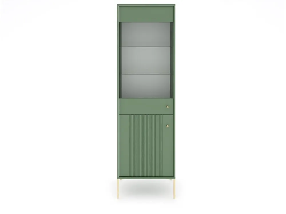 Vitrinekast ISEO SC54 2D 54x39x180 Groen