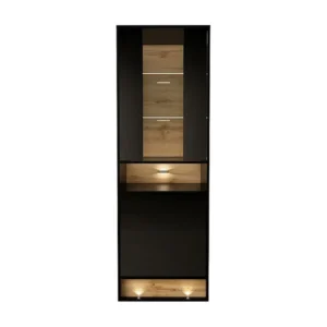 Vitrinekast VISION SC60 2D 60x40x180 Zwart
