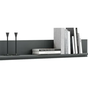 Wandrek SHELF WS100 1S 100x16x18 Donkergrijs