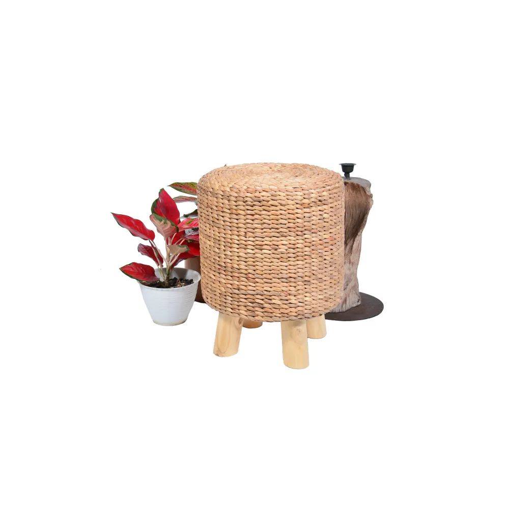 Kruk Orchid rond Tall Men Standing